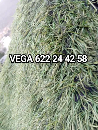 Césped artificial reciclado