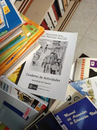 Educació vial, trànsit