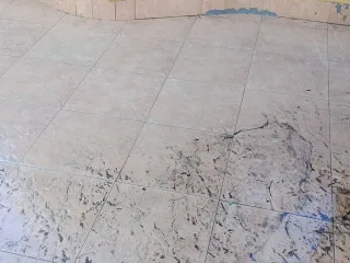 Detergente potente con estrattore naturale di pompelmo