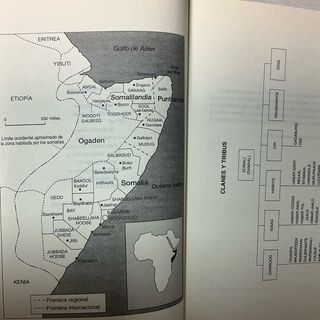 Amanecer en el desierto / Waris Dirie