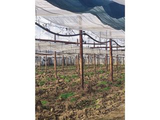 Terreno en venta en Barbastro