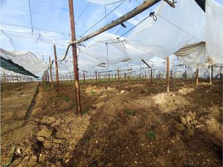 Terreno en venta en Barbastro