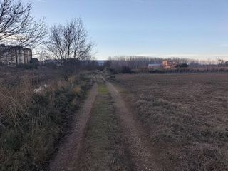 Terreno en venta en Villamuriel de Cerrato