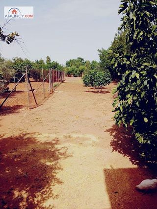 Solar en venta en Rinconada (La)