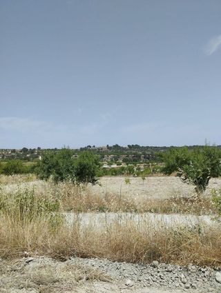 Terreno en venta en Bullas