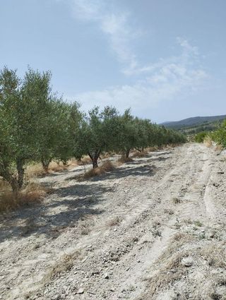 Terreno en venta en Bullas