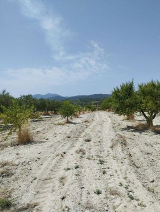 Terreno en venta en Bullas