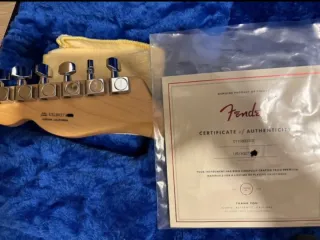 Guitarra Fender Telecaster American Special 2018