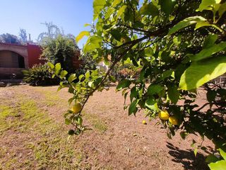 Casa rural en venta en San Pedro de Alcántara pueblo en Marbella