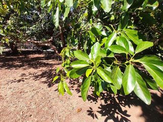 Casa rural en venta en San Pedro de Alcántara pueblo en Marbella