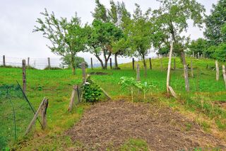 Casa adosada en venta en Ciaño - Zona Rural en Langreo