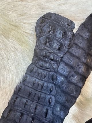 Cinturone in coccodrillo nero