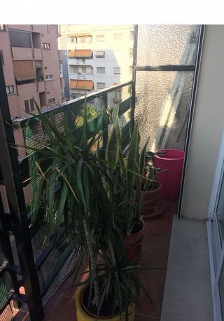 Piso en alquiler en Sant Antoni en Valencia