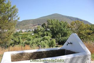 Casa rural en venta en Algodonales