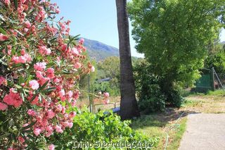 Casa rural en venta en Algodonales