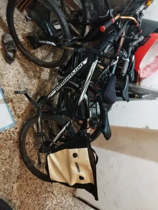 Bicicleta de montaña Bergamont