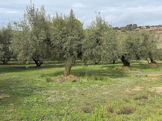 Terreno en venta en Valls