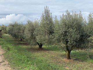 Terreno en venta en Valls