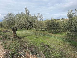 Terreno en venta en Valls