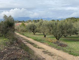 Terreno en venta en Valls