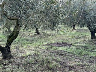 Terreno en venta en Valls
