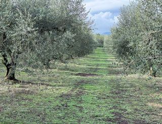 Terreno en venta en Valls