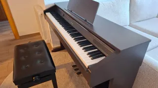 Piano Digital Casio Celviano AP-260BN + Banco