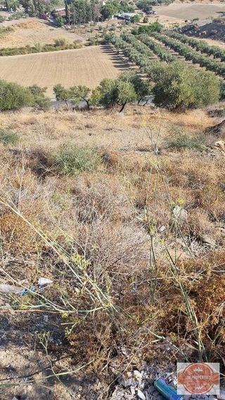 Terreno en venta en Coín