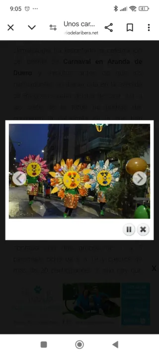 Disfraz de Carnaval Primer Premio