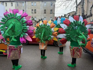 Disfraz de Carnaval Primer Premio