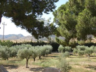 Casa rural en venta en Mazarrón ciudad en Mazarrón