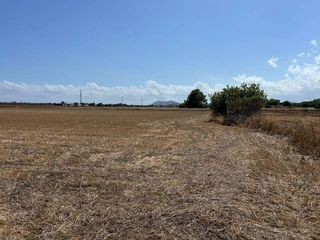 Terreno en venta en Pobla (Sa)
