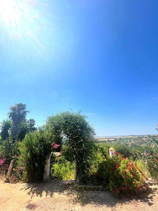 Casa rural en venta en Cantillana