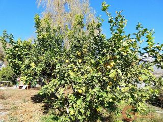 Casa rural en venta en Los Tablones - La Garnatilla - Puntalón en Motril