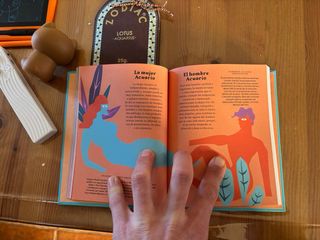 Pack libro y incienso zodiacal Acuario Natura