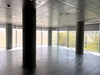 Oficina en alquiler en Castilla en Madrid