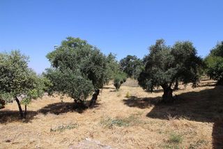 Terreno en venta en Pedanías de Granada en Granada
