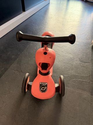 Patinete 2 en 1 Scoot and Ride