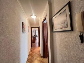 Piso en alquiler en Playa de los Locos en Torrevieja