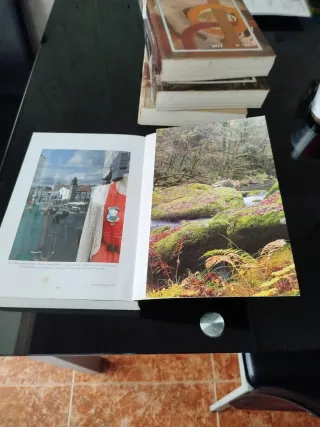 Anuario Brigantino 2013 Nº 36