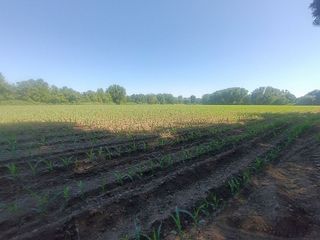 Terreno en venta en Moraleja