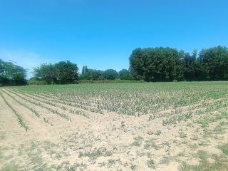 Terreno en venta en Moraleja