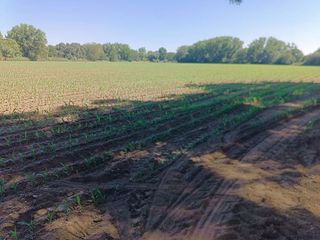 Terreno en venta en Moraleja