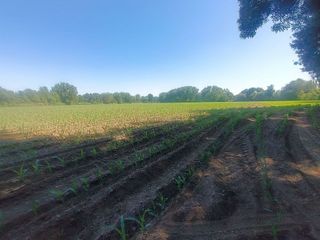 Terreno en venta en Moraleja