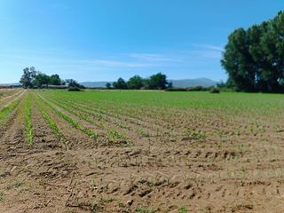 Terreno en venta en Moraleja