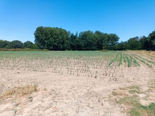 Terreno en venta en Moraleja