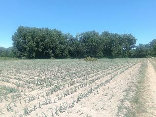 Terreno en venta en Moraleja