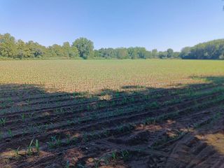 Terreno en venta en Moraleja