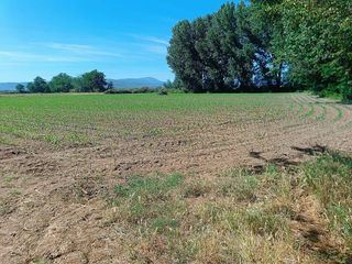 Terreno en venta en Moraleja