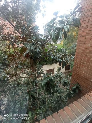 Piso en alquiler en Colina en Madrid